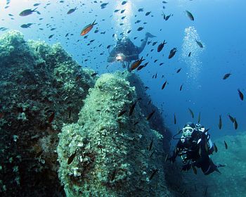 Immersioni nell'Area Marina Protetta di Tavolara