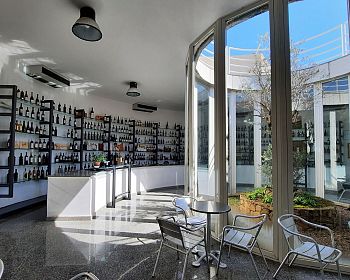 Visita al Museo del Vino di Berchidda con degustazione vini