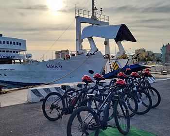 Rent an e-bike and discover Asinara from Porto Torres