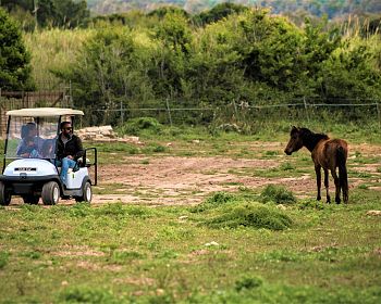 Noleggio golf car nel Parco di Porto Conte ad Alghero