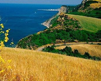 Escursione in e-bike di mezza giornata da Fano a Rimini sulla Via Adriatica