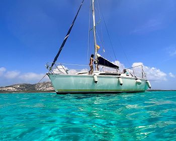 Full day excursion on a sailboat to Asinara from Stintino