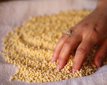 Laboratory of fregula in Allai in the territory of Oristano