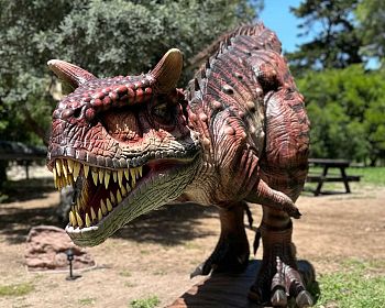 Entdecken Sie Dinosaurier im Porto Conte Park in Alghero