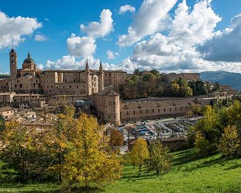 Guided group tour of Ducal Palace and Le Marche National Gallery