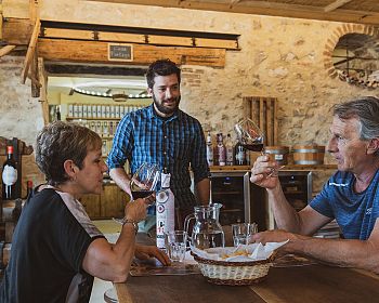 Degustazione di vini in Valpolicella Classica: “La culla dell’Amarone”