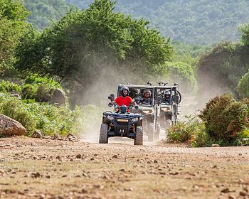 Escursione in buggy a Punta Salinas