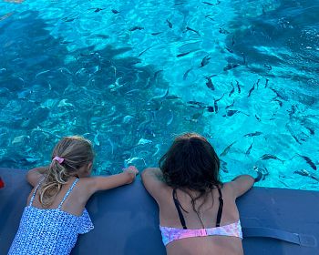 Mezza giornata in gommone nell'Arcipelago della Maddalena o Caprera da Palau, Sardegna