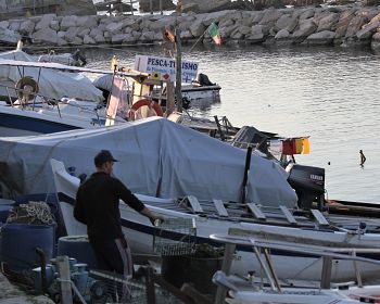 Esperienza di pescaturismo sulla Costa dei Trabocchi