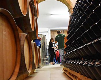 La Vinarte Weingut und Verkostung