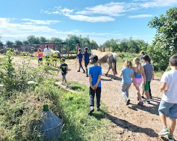 Visita alla fattoria didattica con degustazione di prodotti locali all'Agriturismo Lillastro