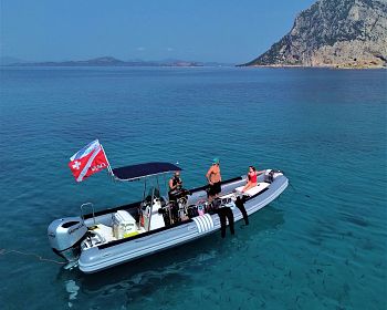 Esclusivi tour di snorkeling e immersioni tra Tavolara e Molara