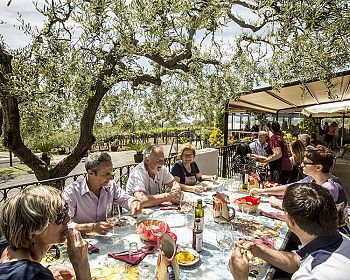 Degustazione di vini sul Vesuvio con pranzo incluso