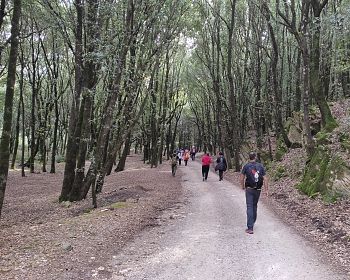 Trekking zur Sa Strada de su Vagoni und den Höhlen von San Giovanni von Domusnovas aus