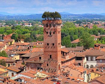 Escursione in minivan a Firenze e Lucca dal porto di Livorno