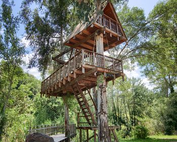 Allai city tour and visit to the tree house