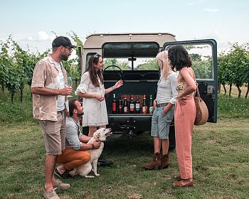 4x4 Vineyard Tour with WineTasting Experience