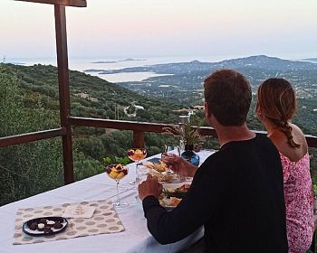 Visita un laboratorio di produzione del mirto con degustazione ad Olbia