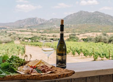 Visit a Gallura winery with tasting