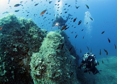Diving in the Marine Protected Area of Tavolara