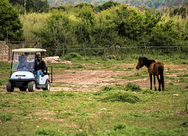 Golf car hire in Porto Conte Park in Alghero