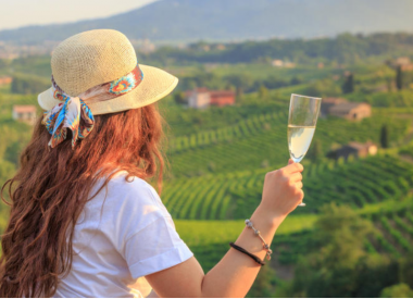 Discovery tour of the prosecco region with tastings from Venice
