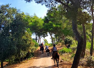 Passeggiate a cavallo a Sedini nel territorio di Castelsardo