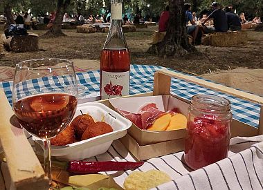 Pic Nic among Olives and Vineyards