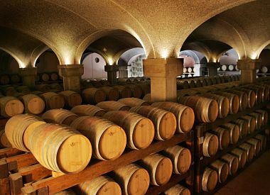 Besuch des Weinguts Argiolas in Serdiana ab Cagliari mit Verkostung