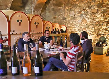 Tour e degustazione vini Lugana in cantina storica