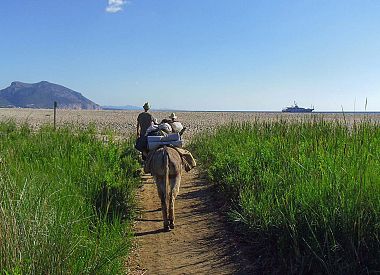 3-day coastal trekking in the Gulf of Orosei with donkeys