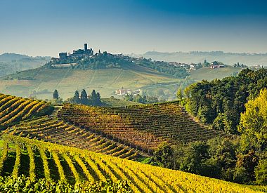 Amarone wine and food route in a small group from Verona