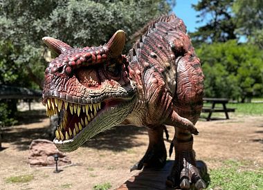 Discover dinosaurs in Porto Conte Park in Alghero