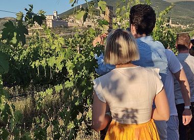 Pranzo ad Assisi con degustazione di vini
