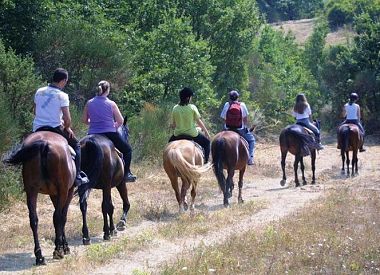 Tuscan Hills Horseback Riding Tour from Siena