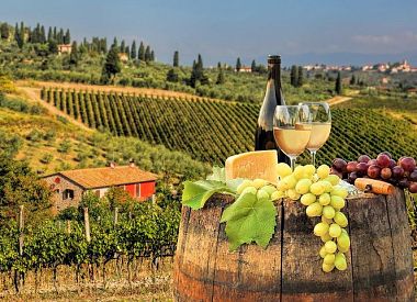 Chianti Half day Wine tour from Florence