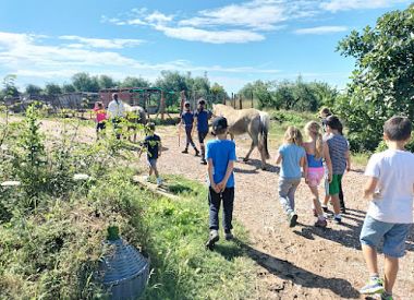 Grosseto: Besuchen Sie den Familienbauernhof mit Verkostung lokaler Speisen bei Agriturismo Lillastro