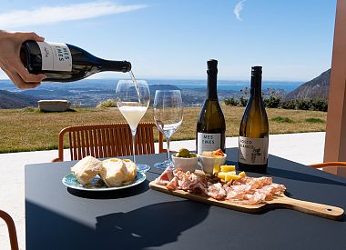 Tasting of Organic Mountains Wines with Vineyard and Cellar Tour