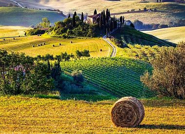 Pienza and Montepulciano Wine tour from Florence