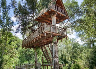 Allai city tour and visit to the tree house