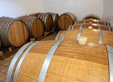 Wine tour of the Podere Della Torre winery