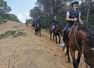 Horseback ride in Baratz Lake in Alghero