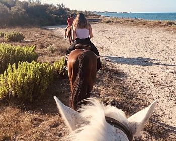 Horse ride in a Salento Nature Reserve with transfer from Lecce