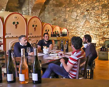 Tour e degustazione vini Lugana in cantina storica