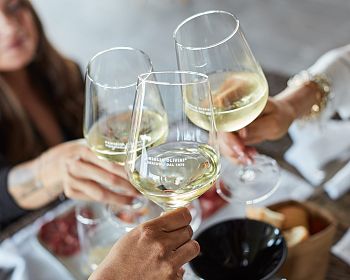 Desenzano: degustazione di vini Lugana con visita al vigneto e alla cantina