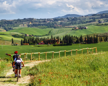 Chianti experience on a e-bike from Siena