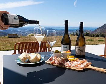 Tasting of Organic Mountains Wines with Vineyard and Cellar Tour