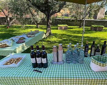 Tour ed esperienza di degustazione dell'olio d'oliva del Lago di Garda